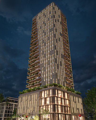 صور-الداخلية